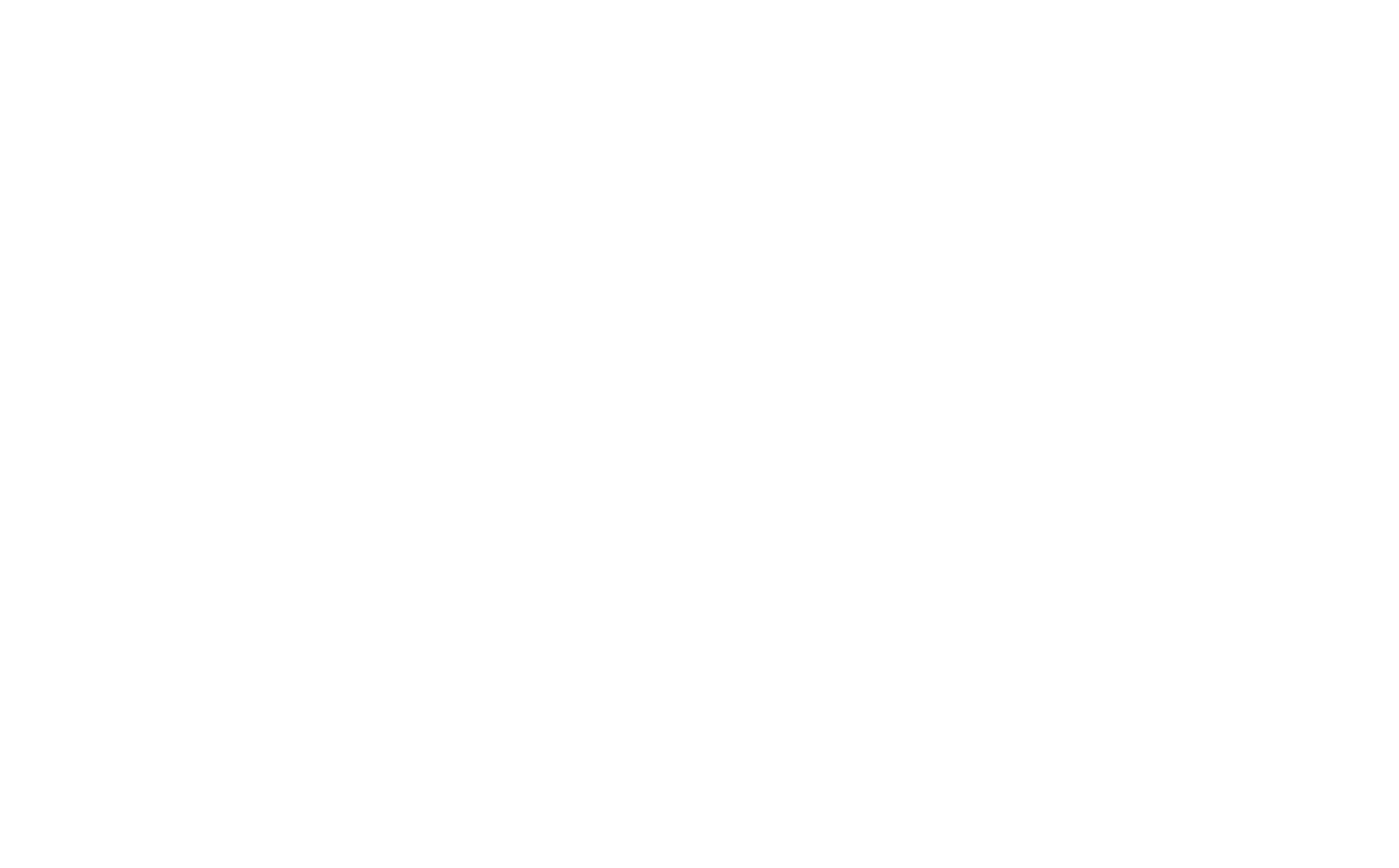 ShaletGo Logo